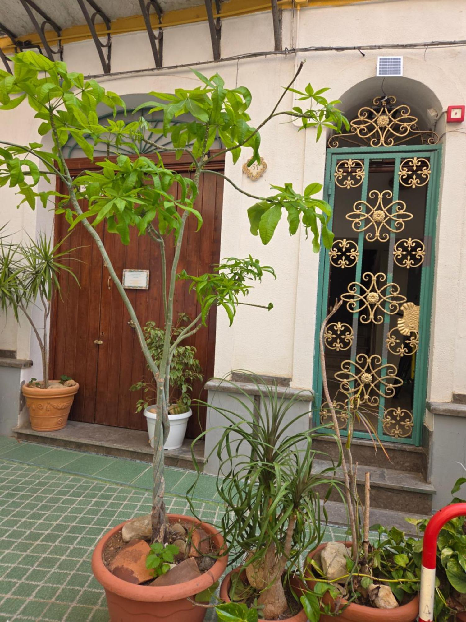诺斯特拉卡萨住宿加早餐旅馆 巴勒莫 外观 照片