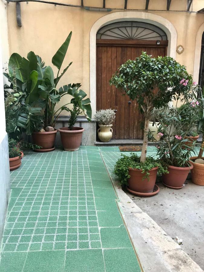 诺斯特拉卡萨住宿加早餐旅馆 巴勒莫 外观 照片